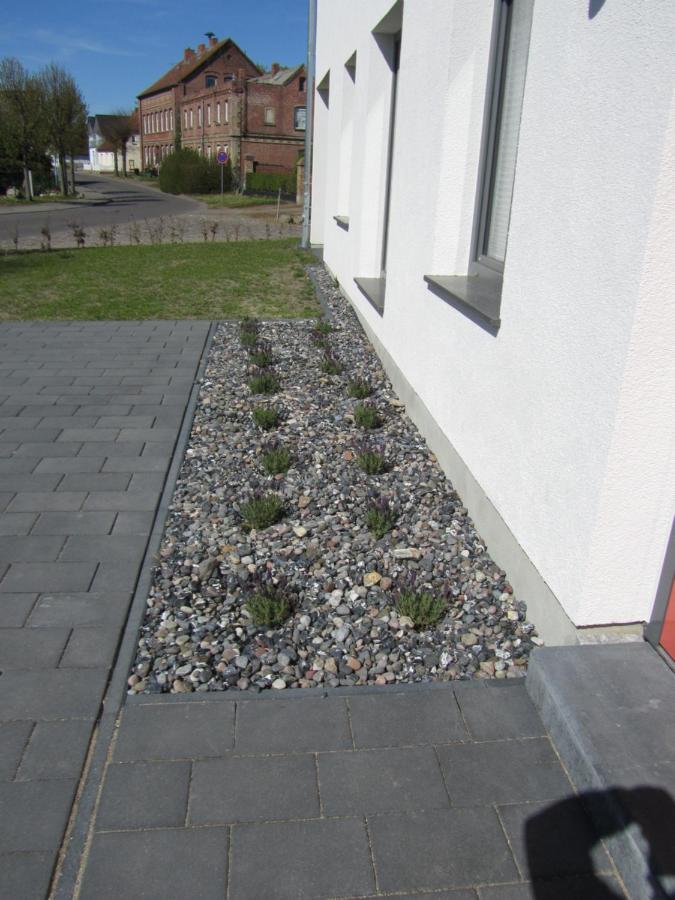 Vila Reusenhaus Nord Breege Exteriér fotografie